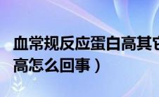 血常规反应蛋白高其它正常（血常规反应蛋白高怎么回事）