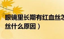 眼镜里长期有红血丝怎么回事（眼镜里有红血丝什么原因）