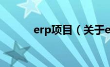 erp项目（关于erp项目的介绍）