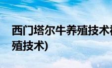 西门塔尔牛养殖技术视频播放(西门塔尔牛养殖技术)