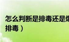 怎么判断是排毒还是爆痘（如何判断爆痘还是排毒）