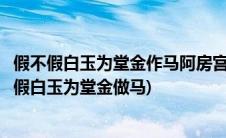 假不假白玉为堂金作马阿房宫三百里住不下金陵一个史(假不假白玉为堂金做马)