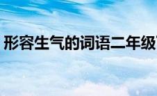 形容生气的词语二年级下册(形容生气的词语)