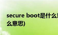 secure boot是什么意思啊(secure boot什么意思)