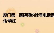 厦门第一医院预约挂号电话是多少(厦门第一医院预约挂号电话号码)