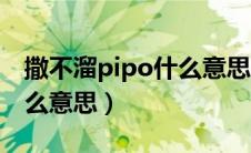 撒不溜pipo什么意思（网络语撒不溜pipo什么意思）