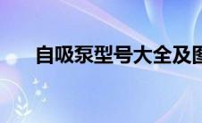 自吸泵型号大全及图片（自吸泵型号）