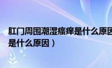 肛门周围潮湿瘙痒是什么原因吃什么药（肛门周围潮湿瘙痒是什么原因）