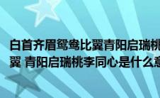 白首齐眉鸳鸯比翼青阳启瑞桃李同心的意思(白首齐眉鸳鸯比翼 青阳启瑞桃李同心是什么意思)