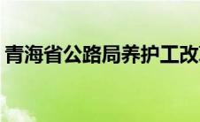 青海省公路局养护工改革(青海省公路局网站)