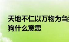 天地不仁以万物为刍狗,圣人不仁以百姓为刍狗什么意思