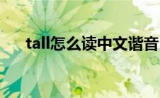 tall怎么读中文谐音(tall怎么读音发音)