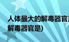 人体最大的解毒器官是哪个器官(人体最大的解毒器官是)