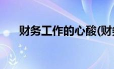 财务工作的心酸(财务工作的心得体会)