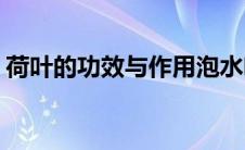 荷叶的功效与作用泡水喝的功效(荷叶的功效)