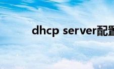 dhcp server配置(dhcp server)