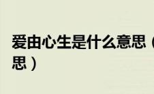 爱由心生是什么意思（怎么理解爱由心生的意思）