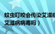 蚊虫叮咬会传染艾滋病毒吗（蚊虫叮咬会传染艾滋病病毒吗）