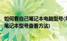 如何看自己笔记本电脑型号(笔记本怎么看自己电脑型号 2种笔记本型号查看方法)