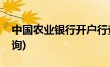 中国农业银行开户行查询(中国银行开户行查询)