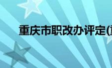 重庆市职改办评定(重庆市职改办官网)