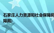 石家庄人力资源和社会保障局官网(石家庄人力资源和社会保障局)