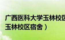 广西医科大学玉林校区宿舍费（广西医科大学玉林校区宿舍）