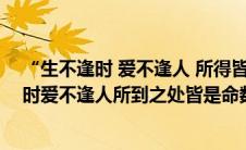 “生不逢时 爱不逢人 所得皆是命数”是什么意思（生不逢时爱不逢人所到之处皆是命数）