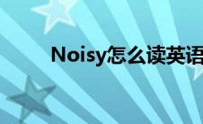 Noisy怎么读英语（noisy怎么读）