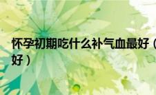 怀孕初期吃什么补气血最好（孕妇初期吃什么补气血最快最好）