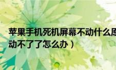 苹果手机死机屏幕不动什么原因（苹果手机死机了突然屏幕动不了了怎么办）