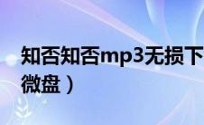 知否知否mp3无损下载（知否知否mp3下载微盘）