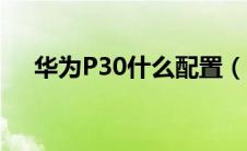 华为P30什么配置（华为p30什么配置）