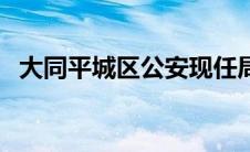 大同平城区公安现任局长（大同市平城区）