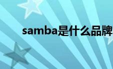 samba是什么品牌（samba是什么）