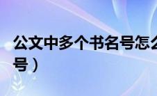 公文中多个书名号怎么排版（公文中多个书名号）