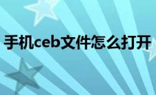 手机ceb文件怎么打开（cebx文件怎么打开）