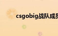 csgobig战队成员（ig战队成员）