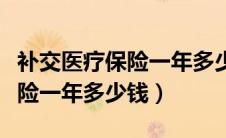 补交医疗保险一年多少钱一个月（补交医疗保险一年多少钱）