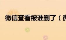 微信查看被谁删了（微信查看已删除好友）