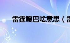 雷霆嘎巴啥意思（雷霆嘎巴什么意思）