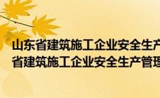 山东省建筑施工企业安全生产管理人员考试成绩查询（山东省建筑施工企业安全生产管理人员考试报名管理系统）