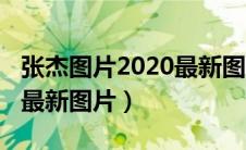 张杰图片2020最新图片头像（张杰图片2020最新图片）