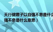 天行健君子以自强不息是什么意思十个字（天行健君子以自强不息是什么意思）