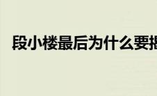 段小楼最后为什么要揭发程蝶衣（段小楼）