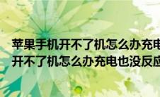 苹果手机开不了机怎么办充电也没反应怎么回事（苹果手机开不了机怎么办充电也没反应）