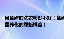 用含磷的洗衣粉好不好（含磷洗衣粉中的什么是造成水体富营养化的罪魁祸首）