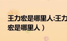 王力宏是哪里人:王力宏简历个人资料（王力宏是哪里人）