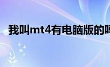 我叫mt4有电脑版的吗（我叫mt4电脑版）