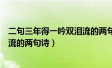 二句三年得一吟双泪流的两句诗是谁（二句三年得一吟双泪流的两句诗）